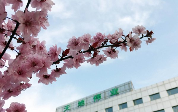 mg冰球突破·豪华版(试玩)官方网站