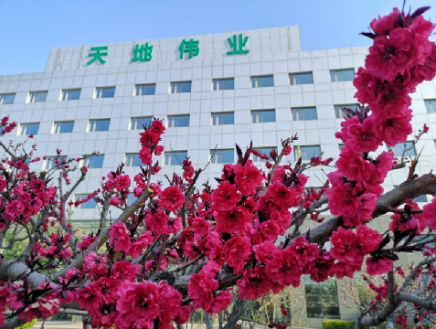 mg冰球突破·豪华版(试玩)官方网站