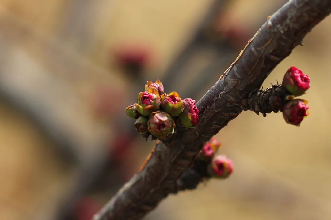 mg冰球突破·豪华版(试玩)官方网站