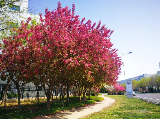 mg冰球突破·豪华版(试玩)官方网站